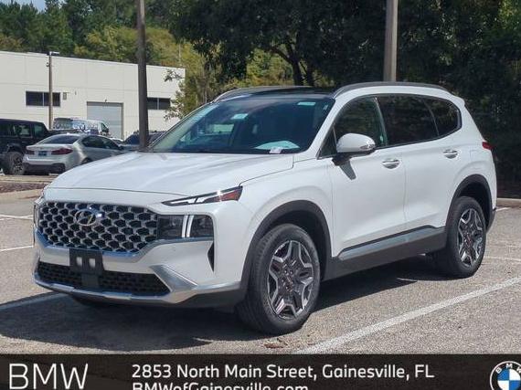 HYUNDAI SANTA FE 2023 5NMS4DAL7PH642738 image